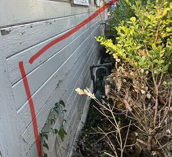 2025102317202310_image8