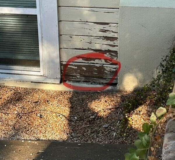 2025102317202313_image11